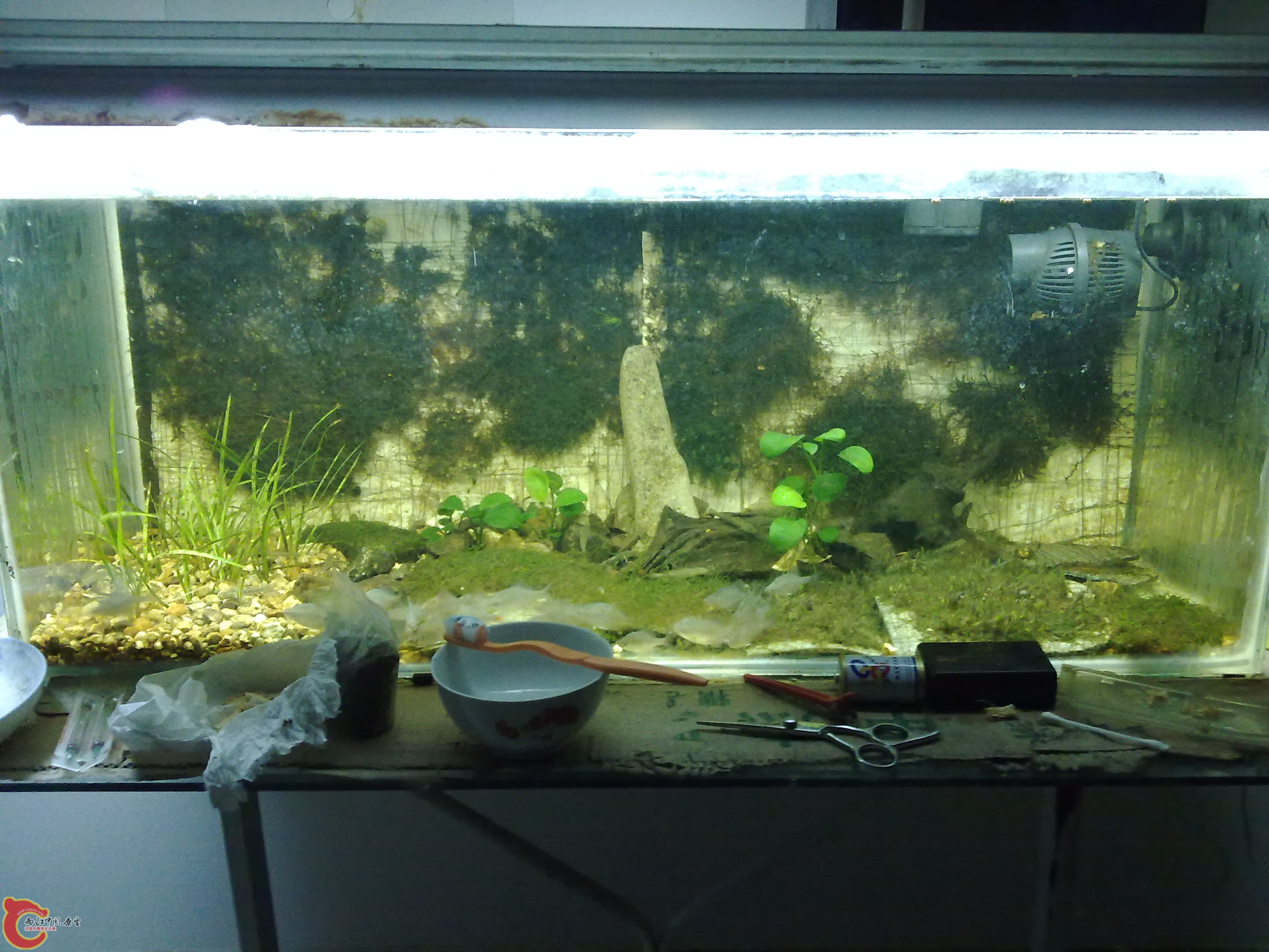 20100829090.jpg