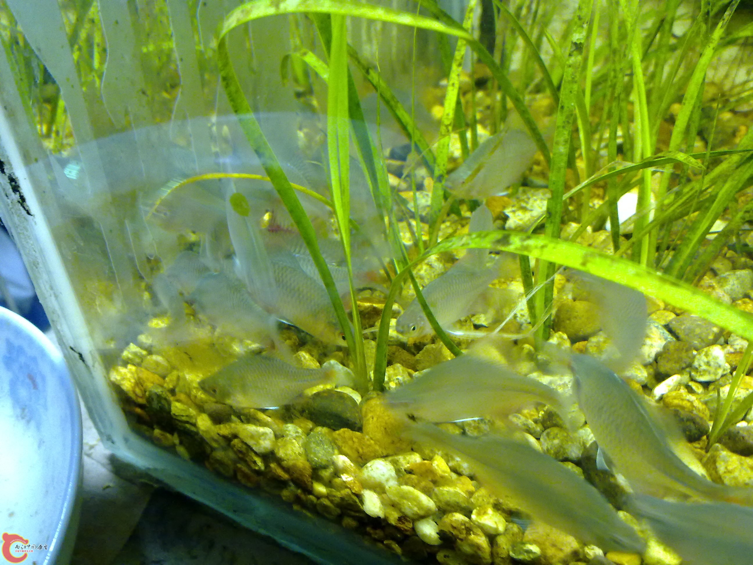 20100829092.jpg