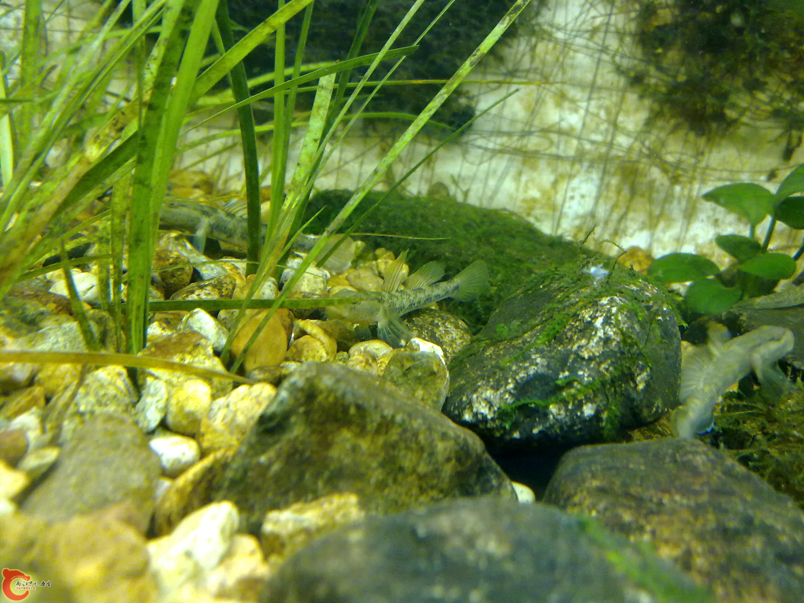 20100829093.jpg