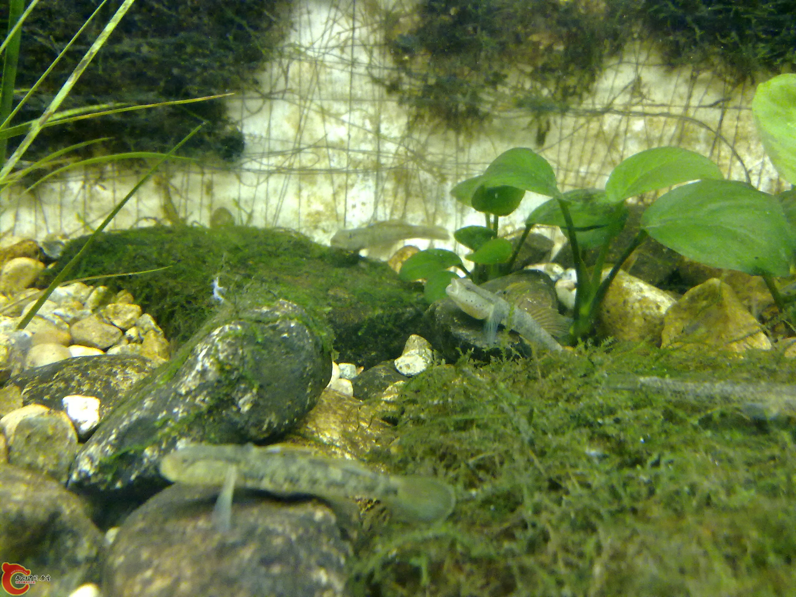 20100829100.jpg