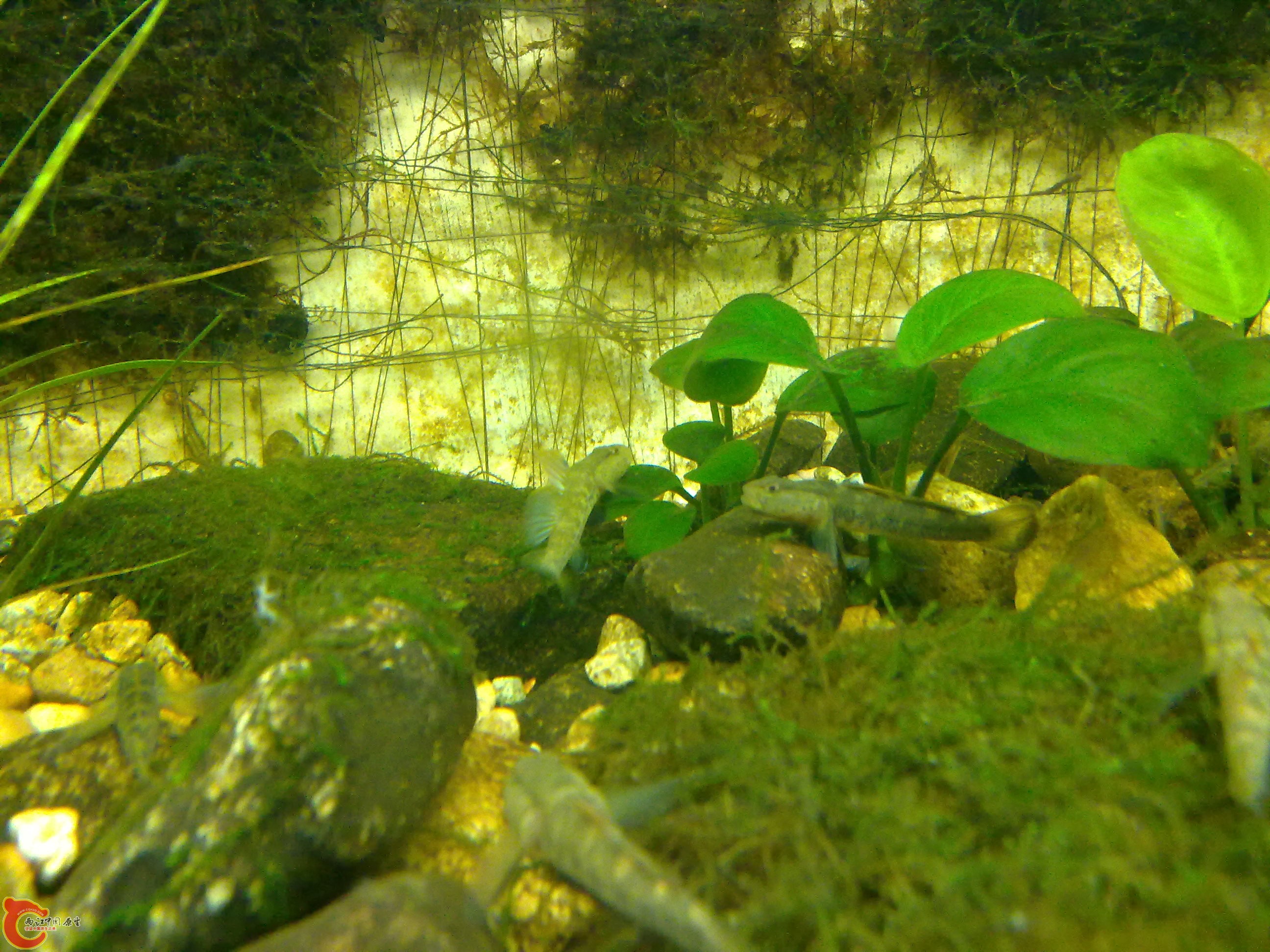 20100829101.jpg