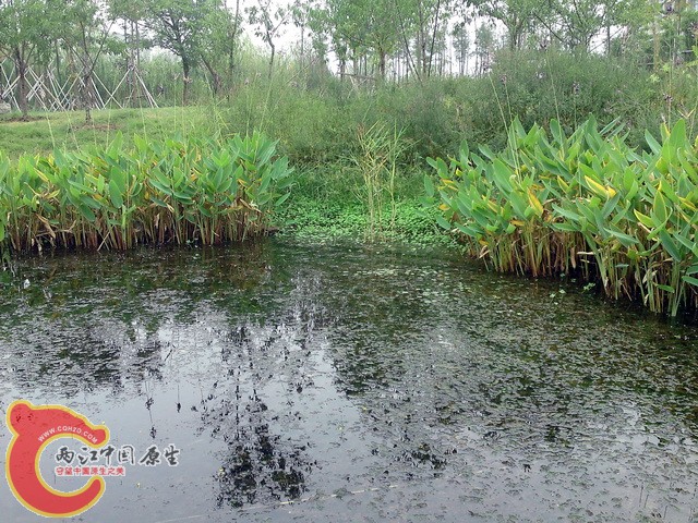 P30-08-10_08.33.jpg