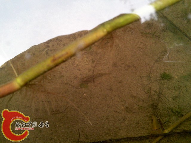 P30-08-10_08.38.jpg