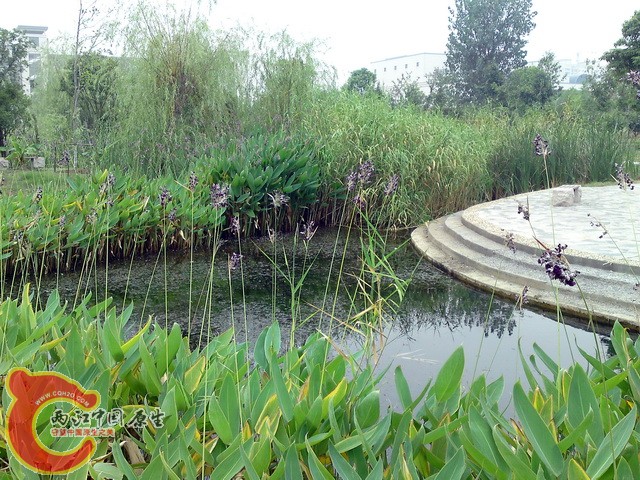 P30-08-10_08.39.jpg