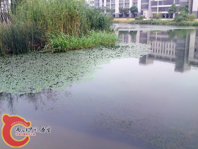P30-08-10_08.42.jpg