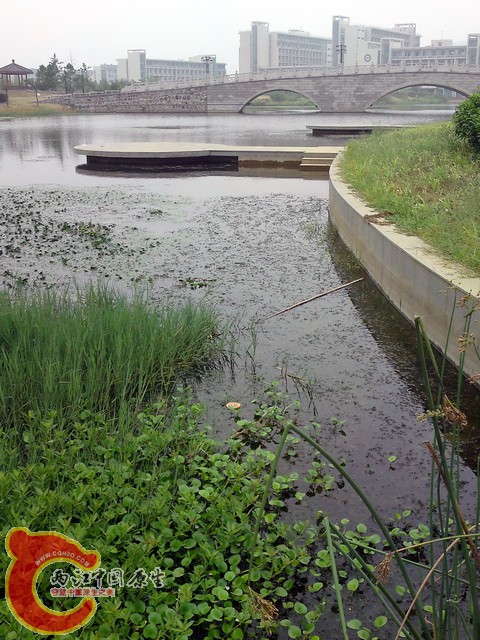 P30-08-10_08.41.jpg