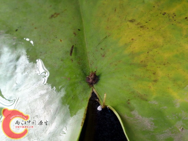 P30-08-10_11.40.jpg