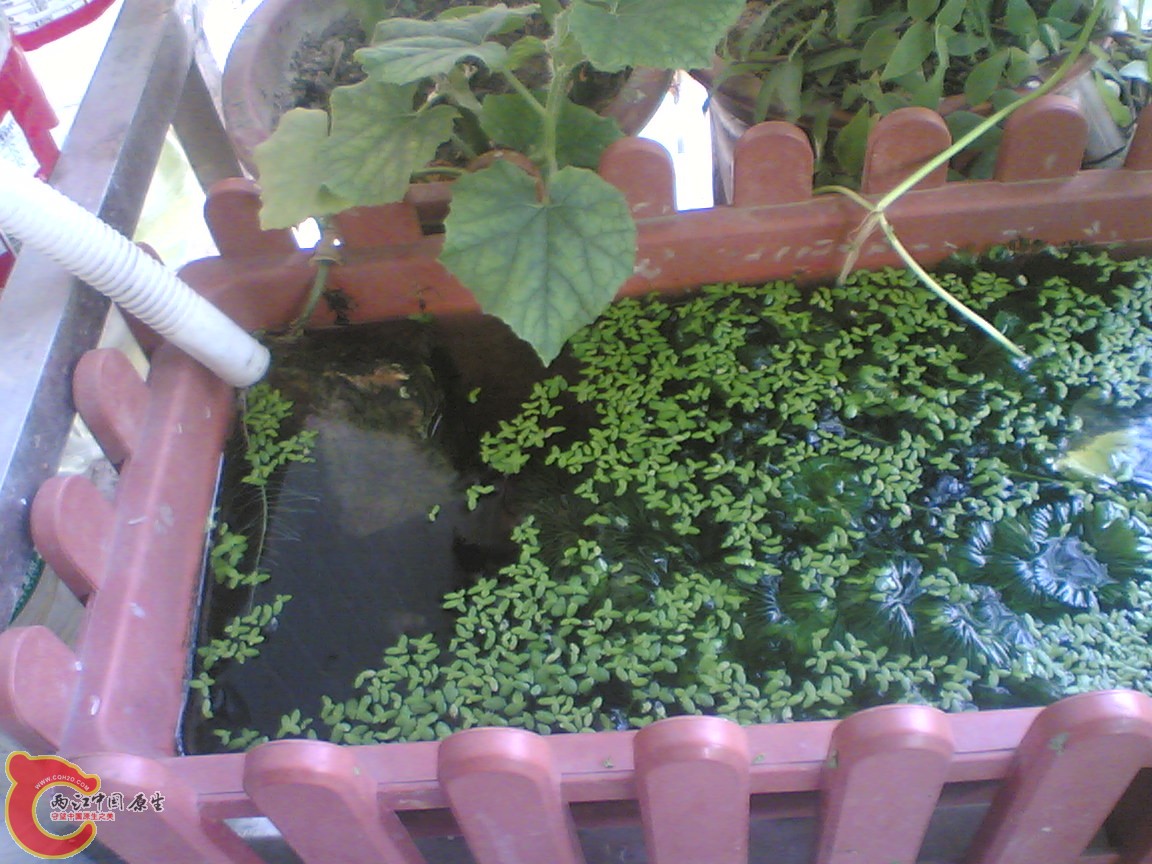 Image(907).jpg
