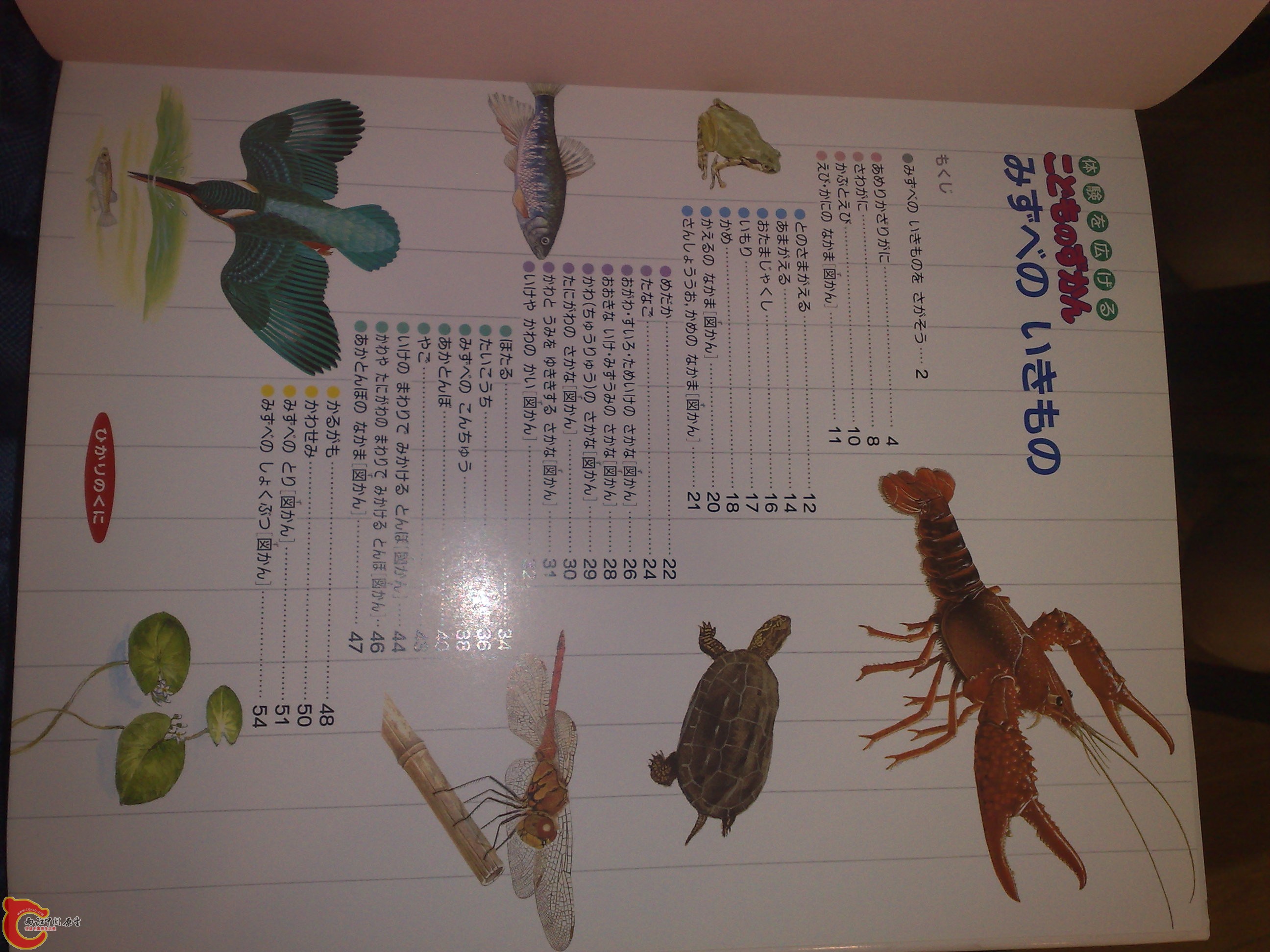 20100719193.jpg
