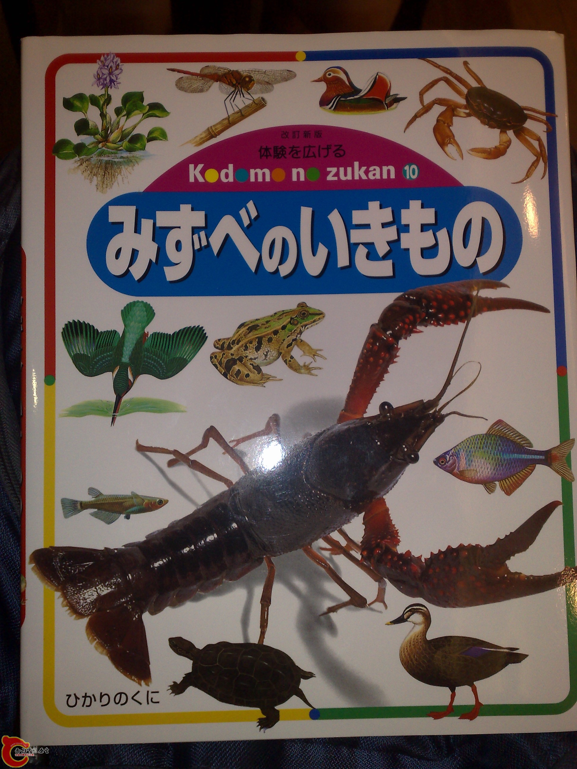 20100719192.jpg