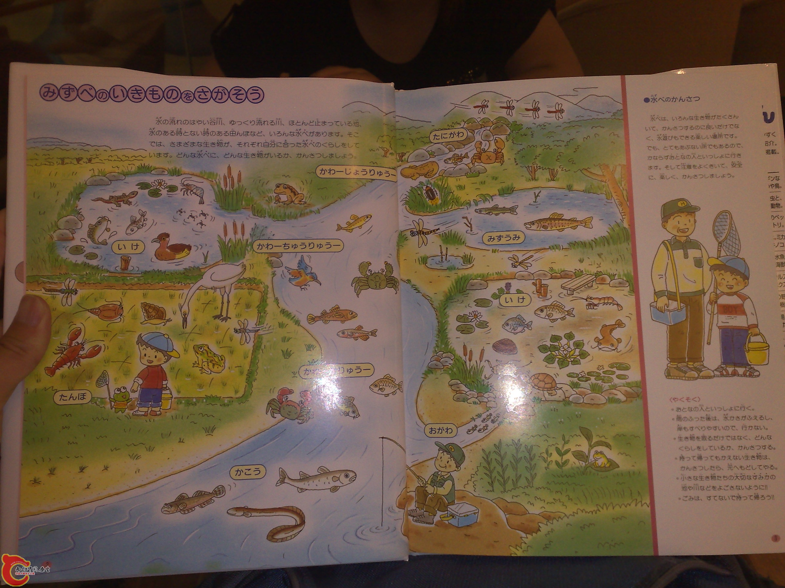 20100719194.jpg