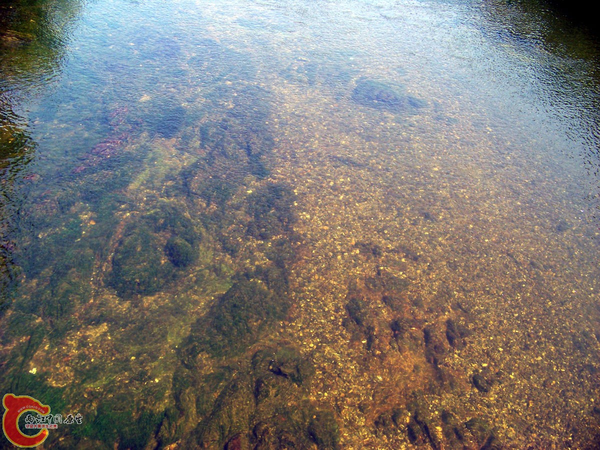 从水开始