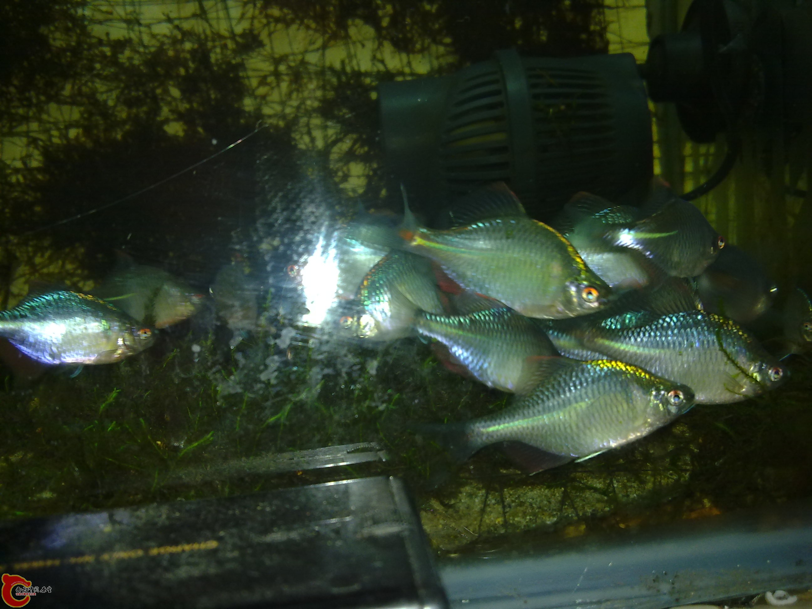 20100901107.jpg