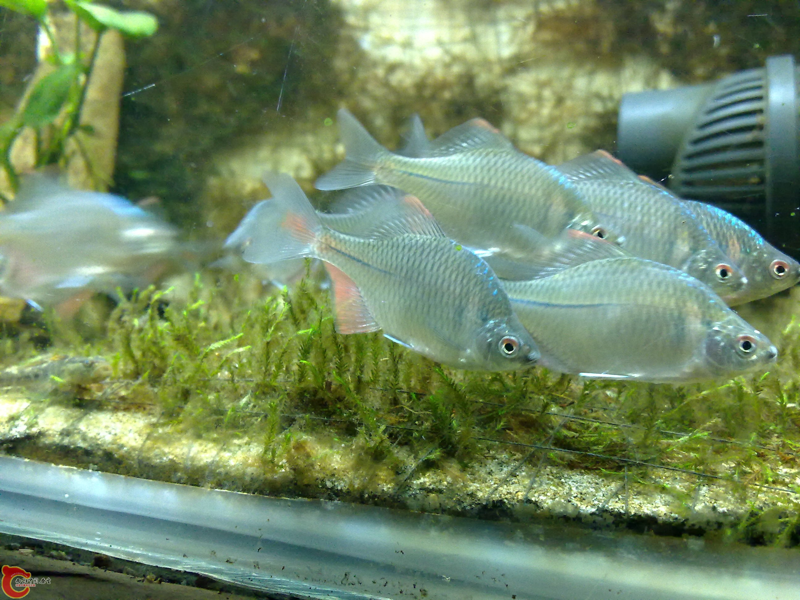 20100901127.jpg