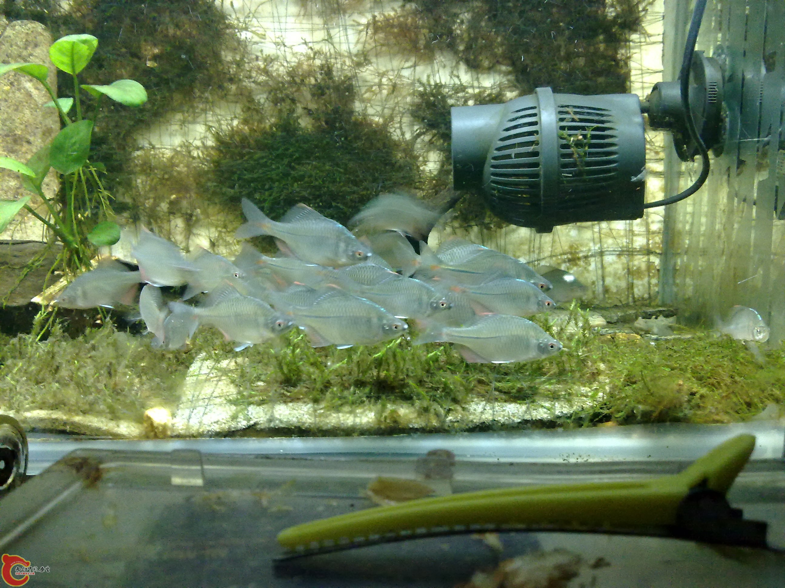 20100901145.jpg