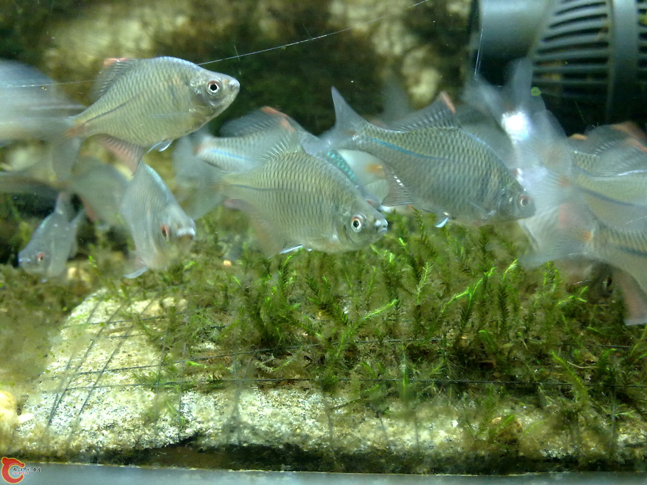 20100901143.jpg