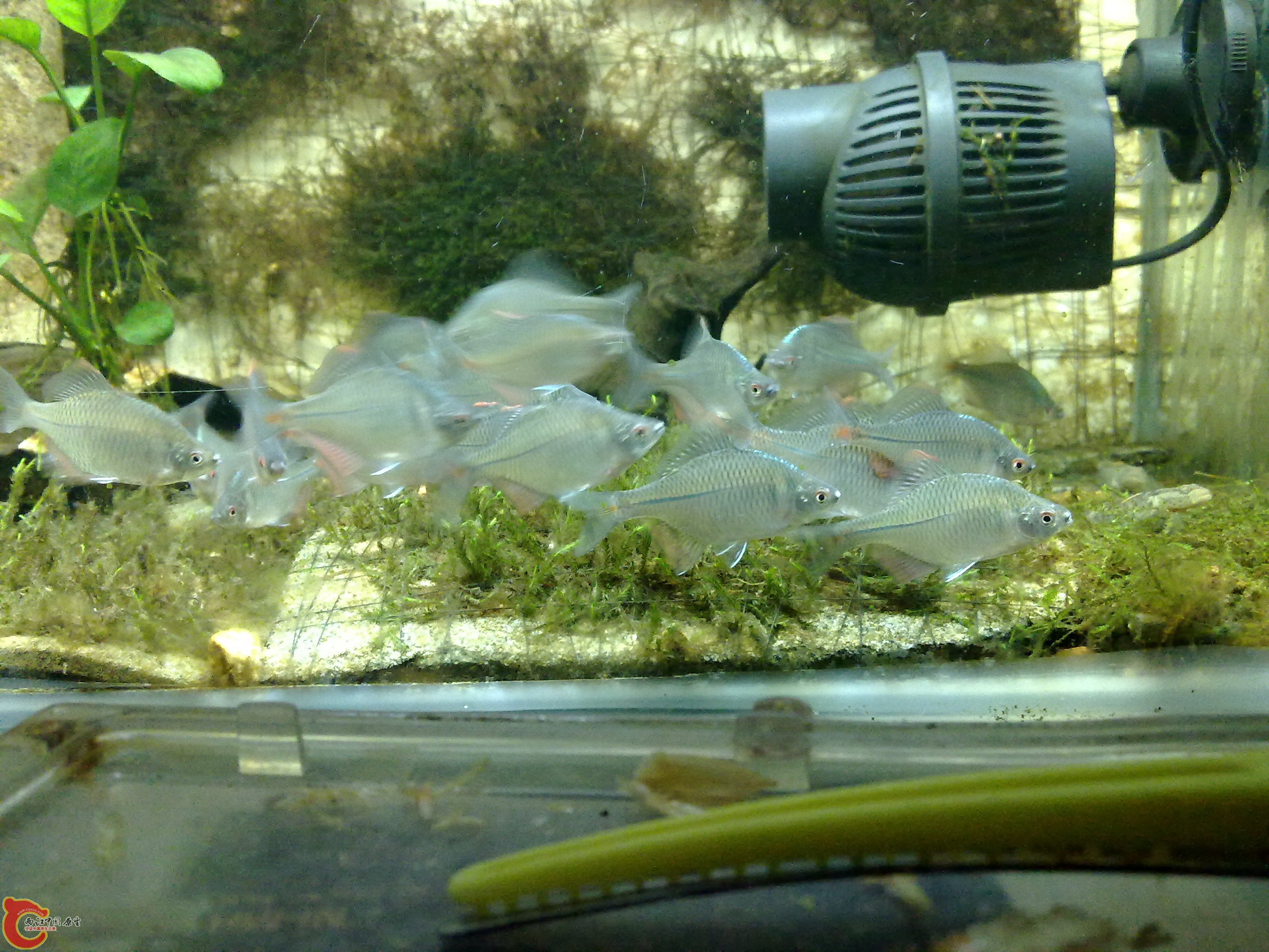 20100901146.jpg