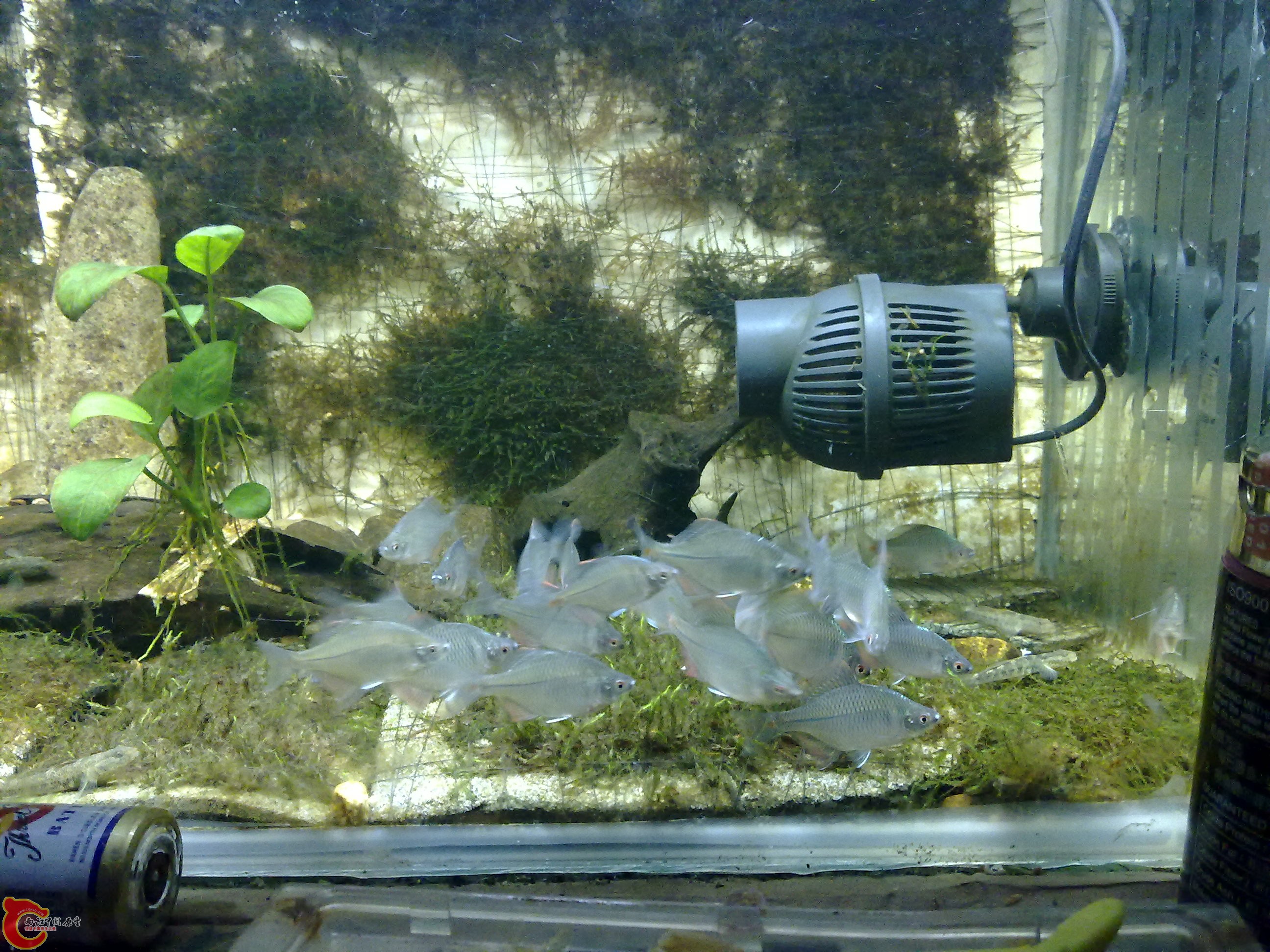20100901149.jpg