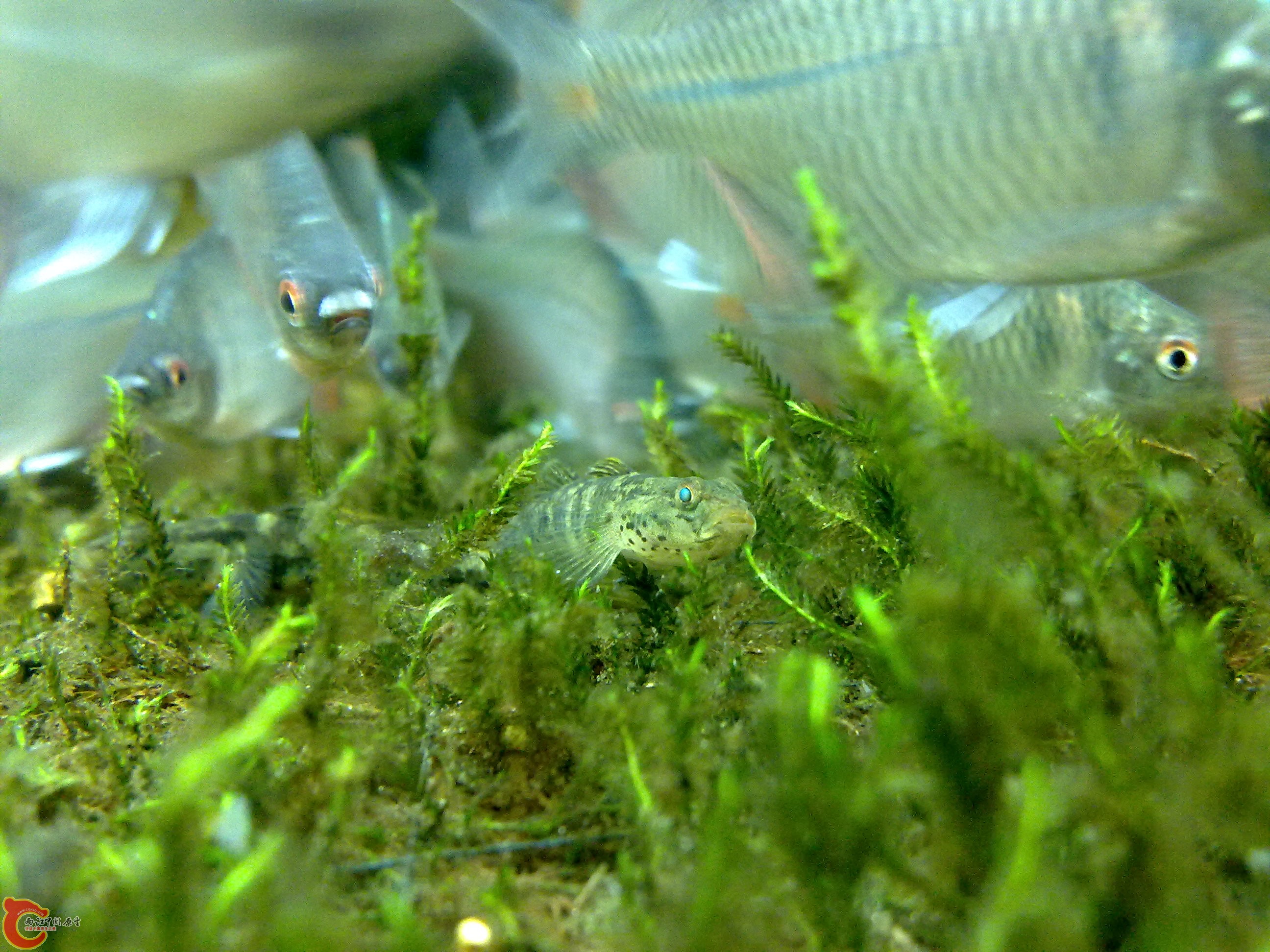 20100901151.jpg