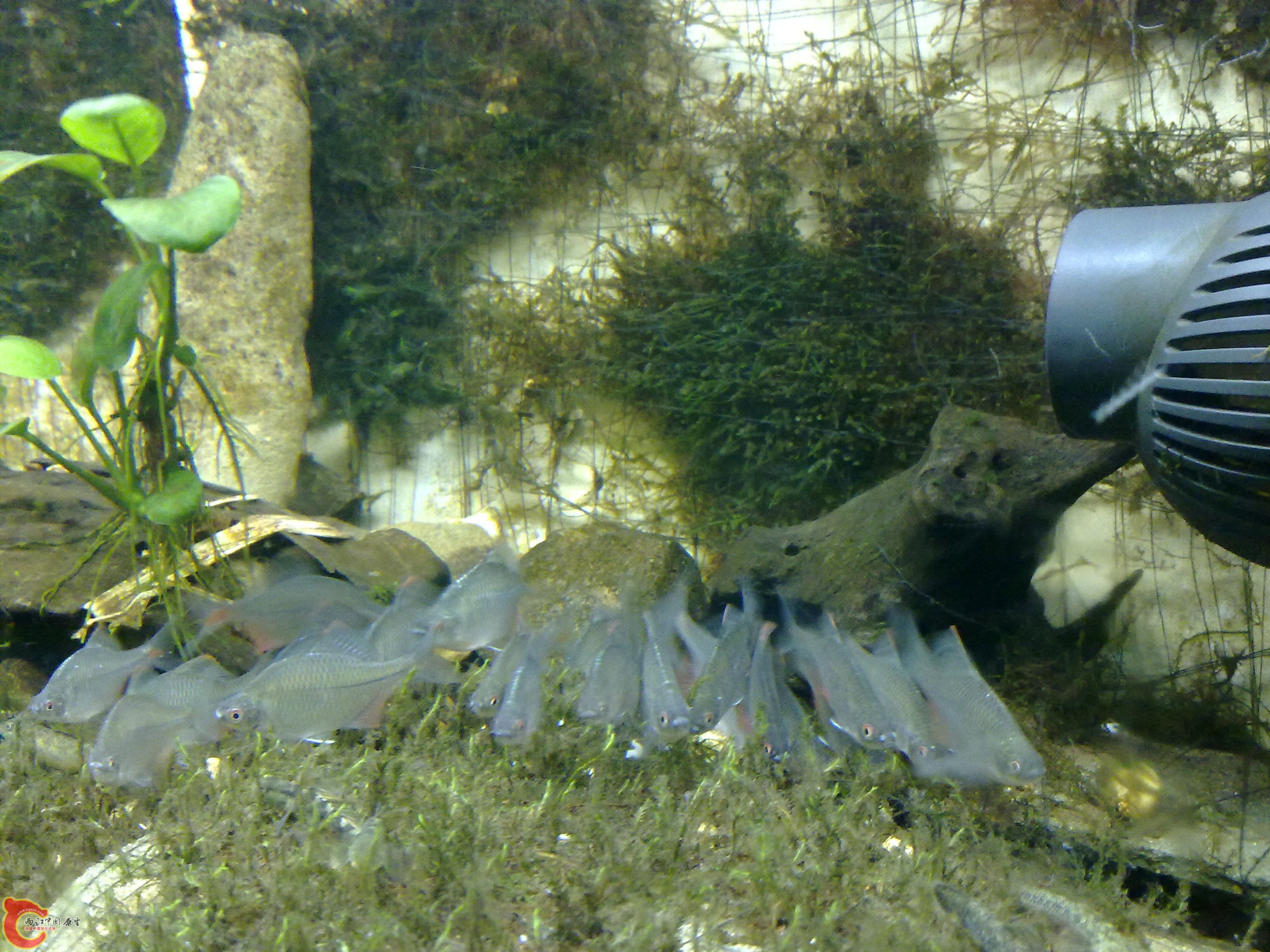 20100901161.jpg