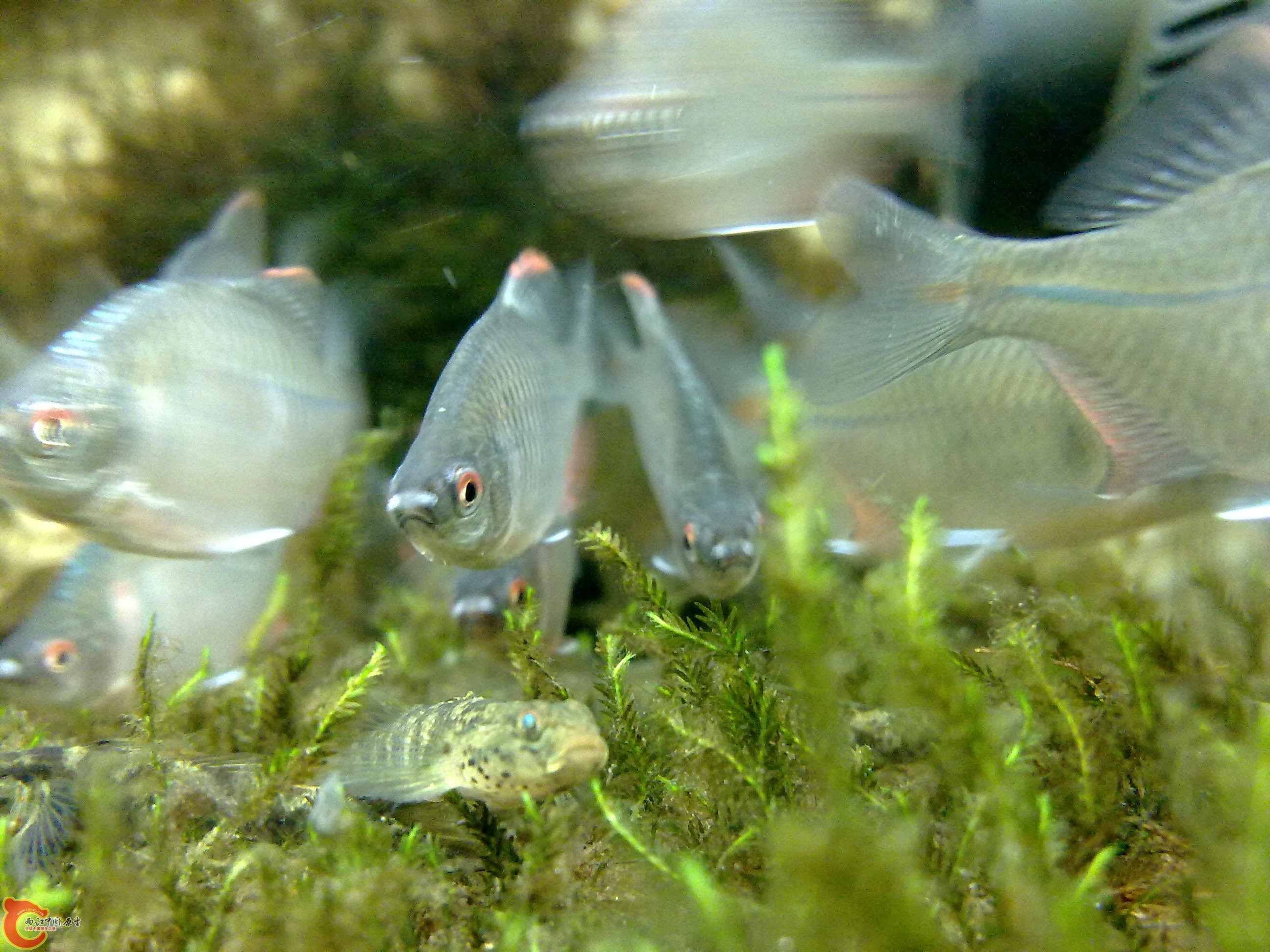 20100901153.jpg