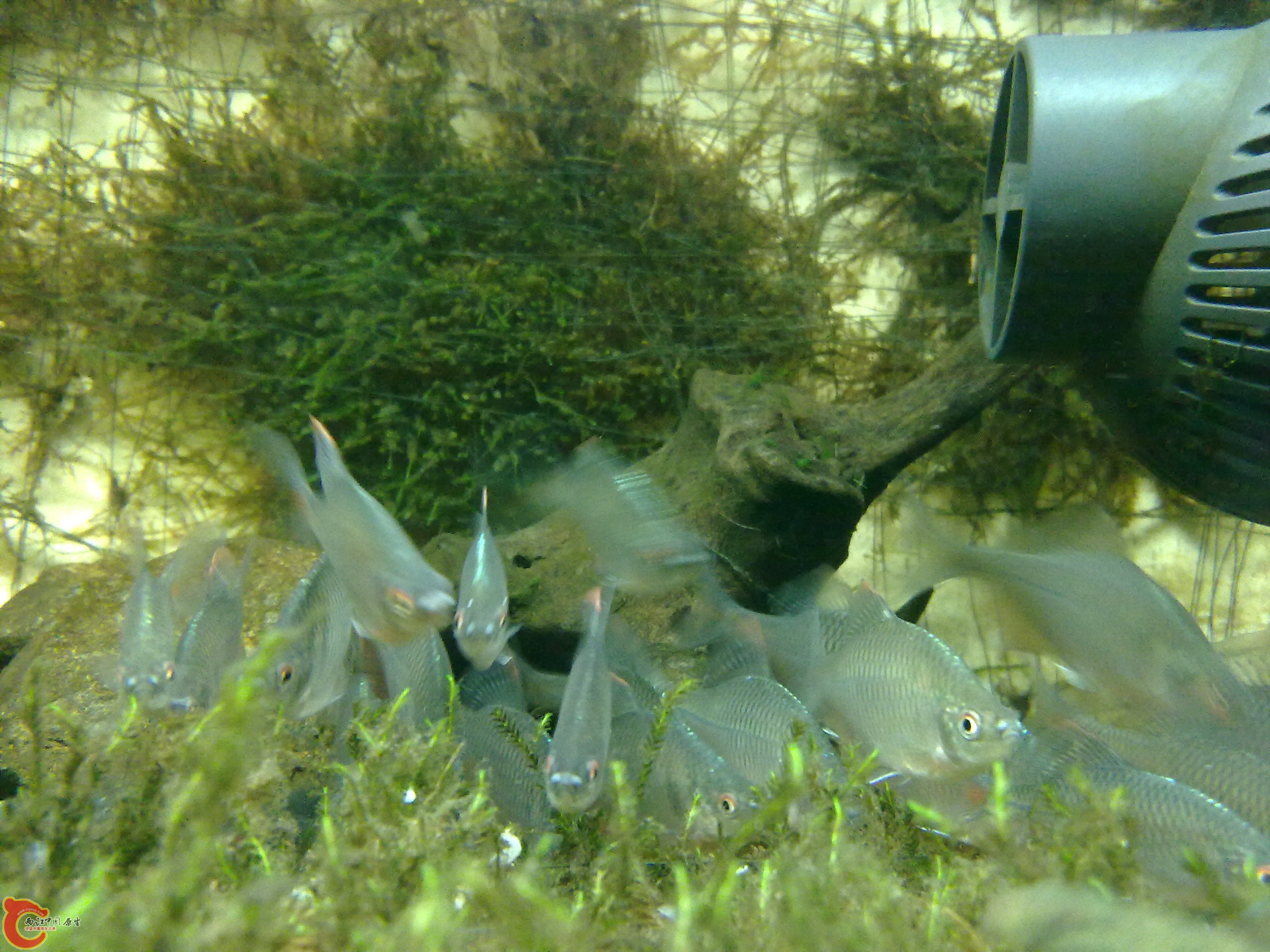 20100901164.jpg
