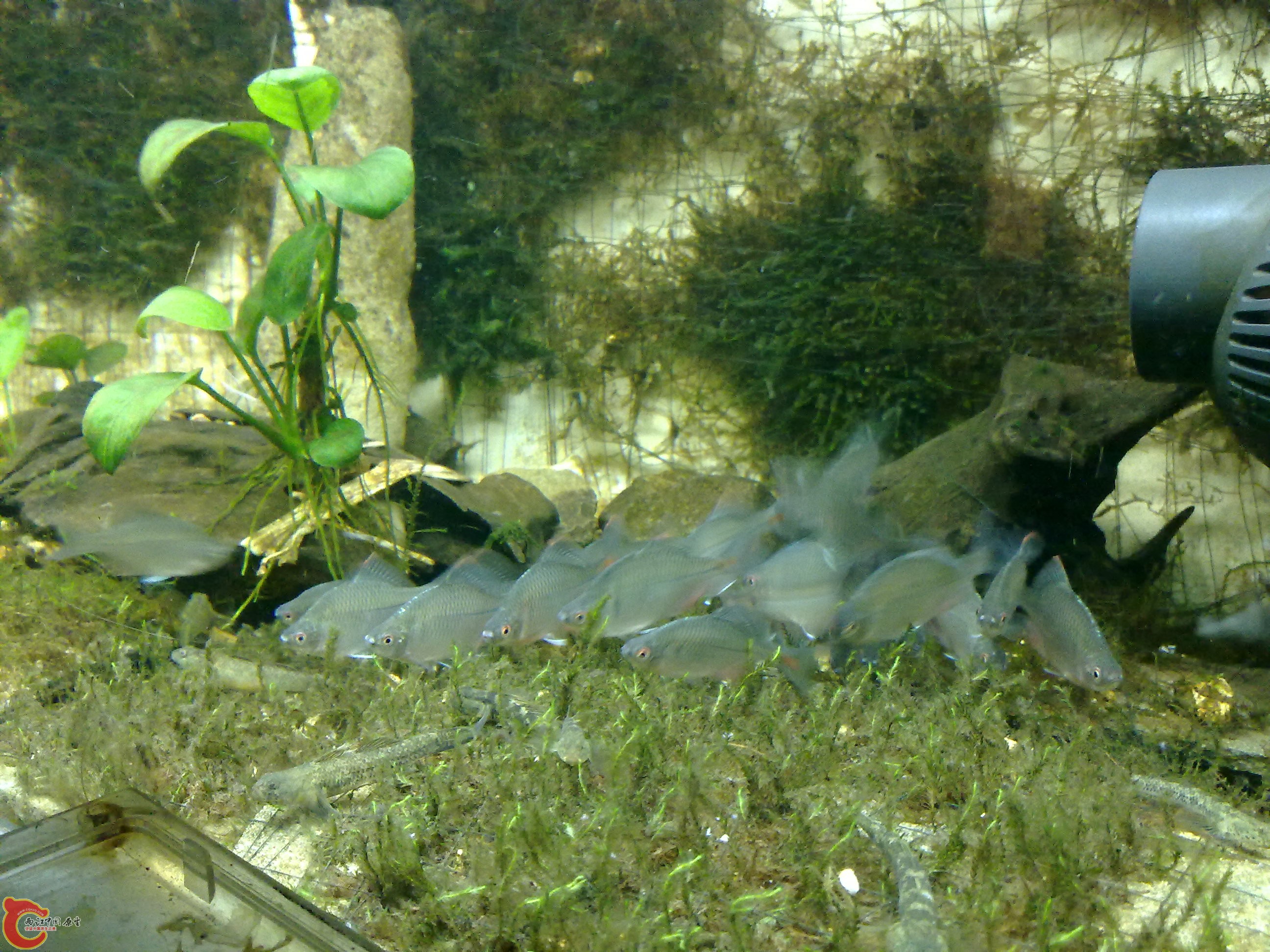 20100901163.jpg
