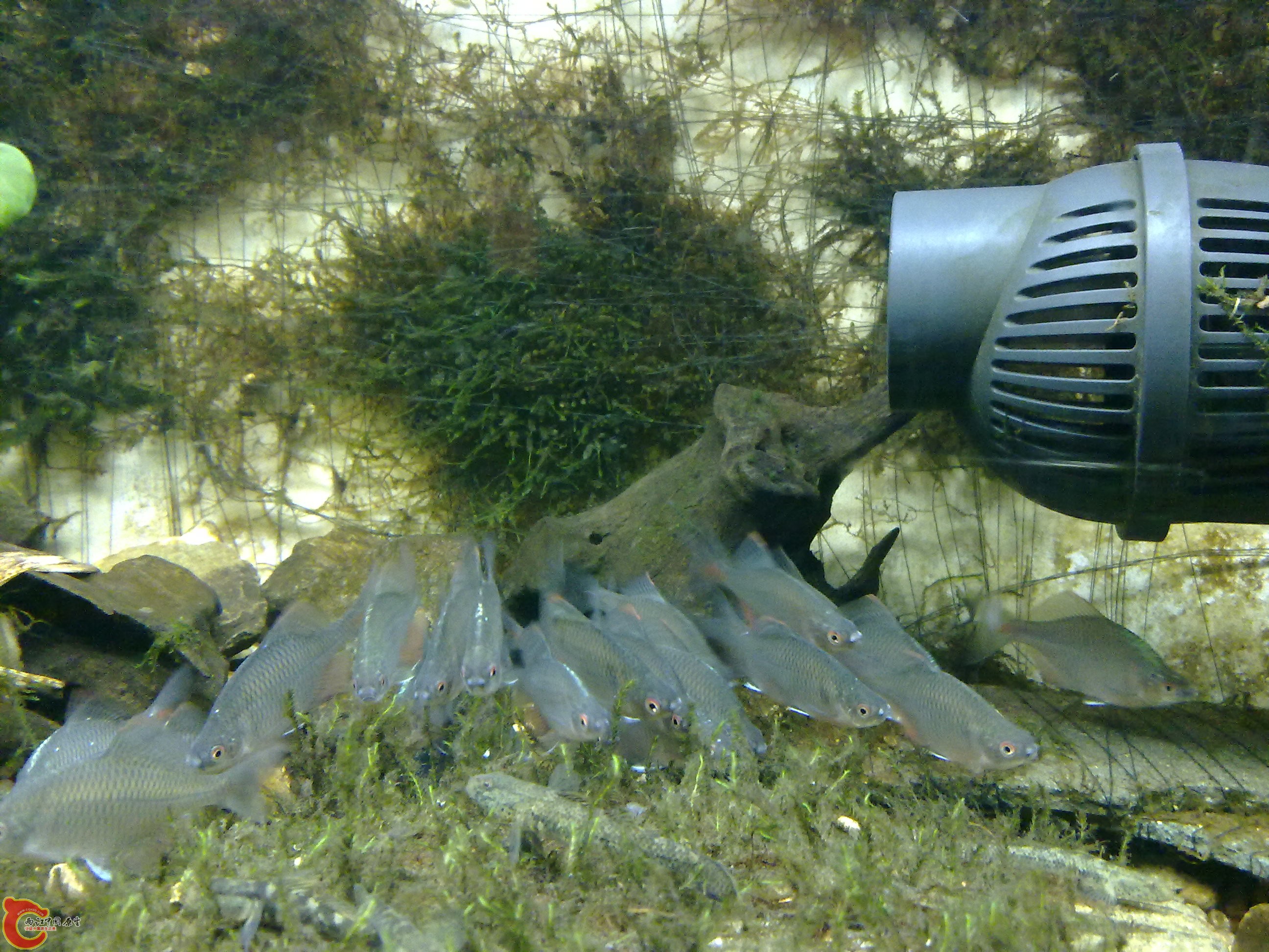 20100901168.jpg