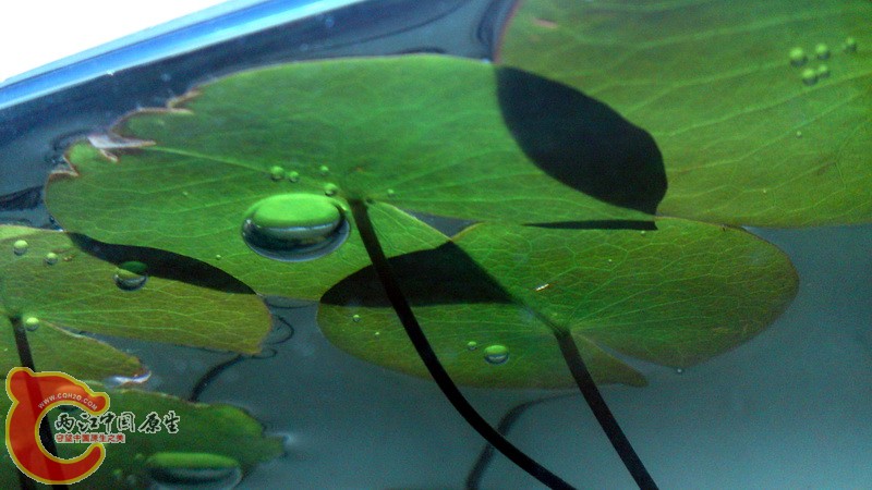 P09-08-10_17.21.jpg