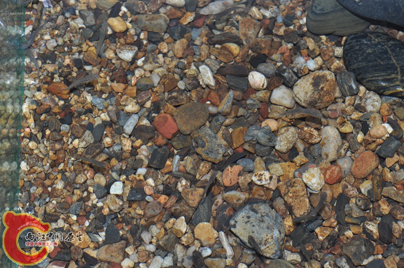 DSC_0049.JPG
