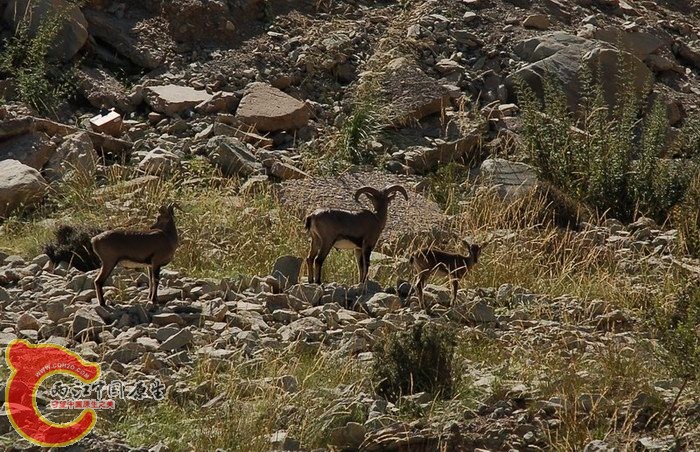 DSC_6404.jpg