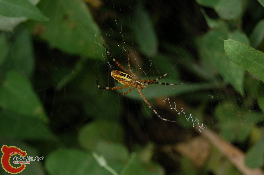 DSC_5817.JPG