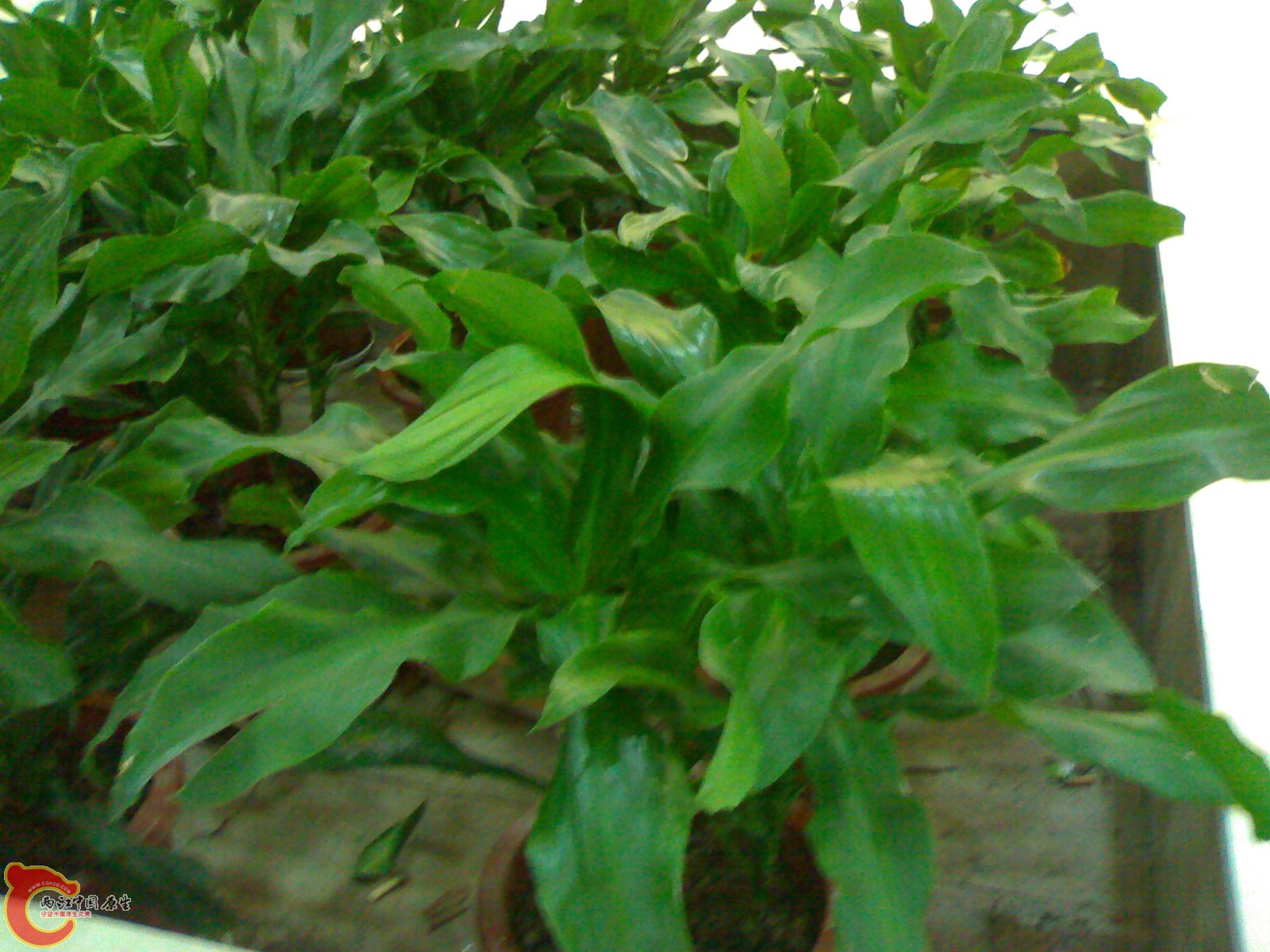 20100901573.jpg