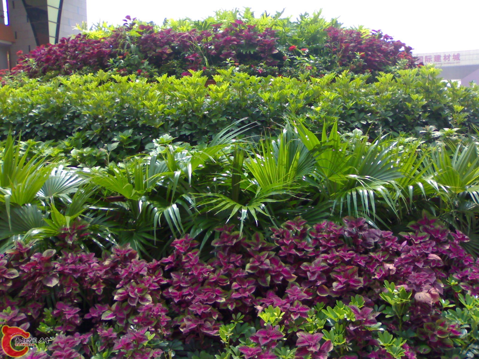 20100901576.jpg
