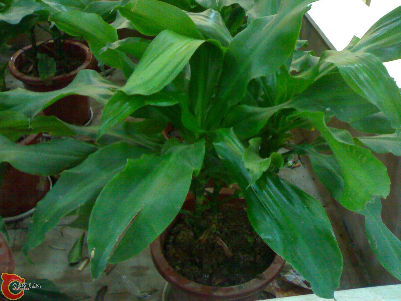 20100901574.jpg
