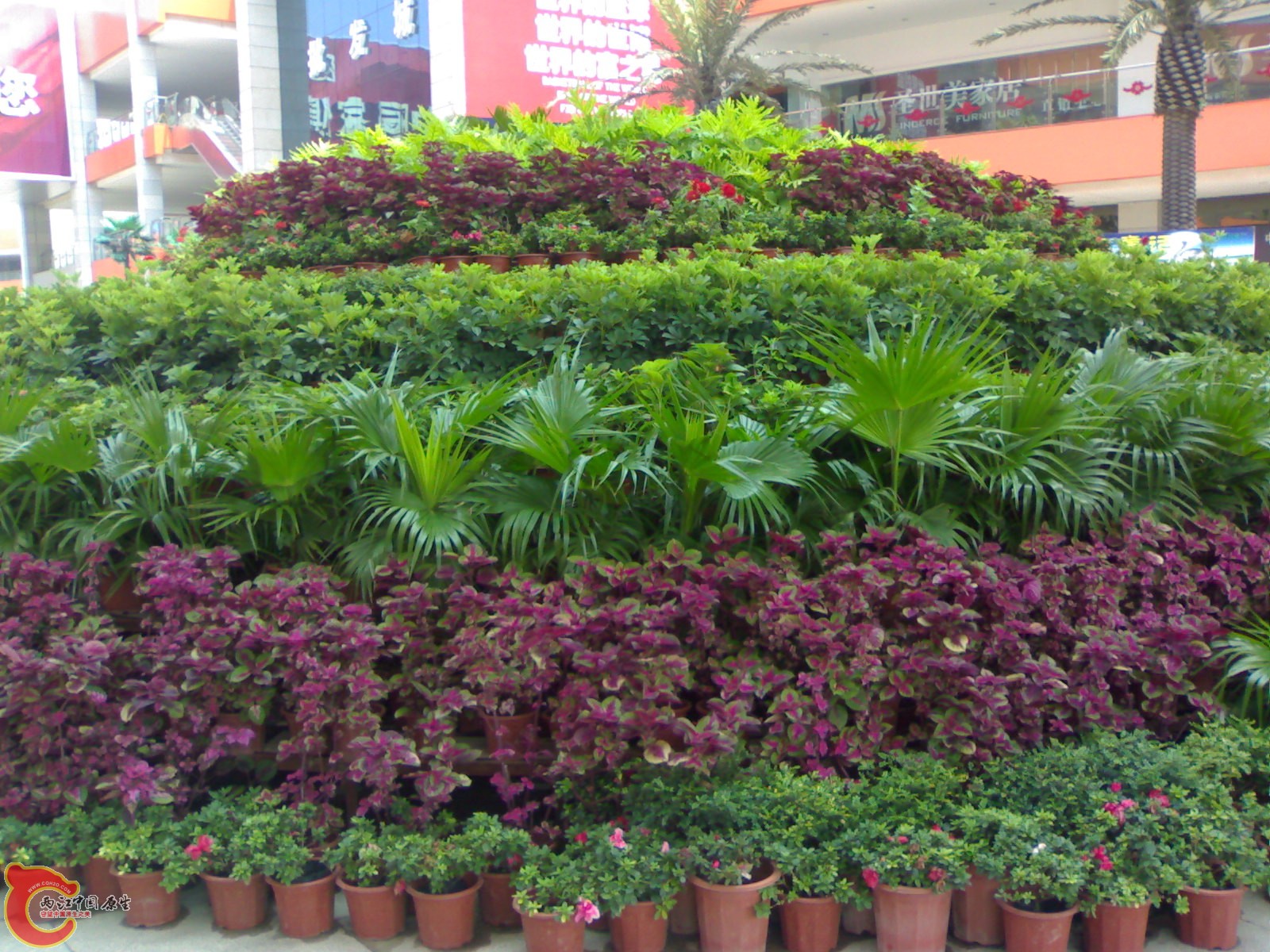20100901577.jpg