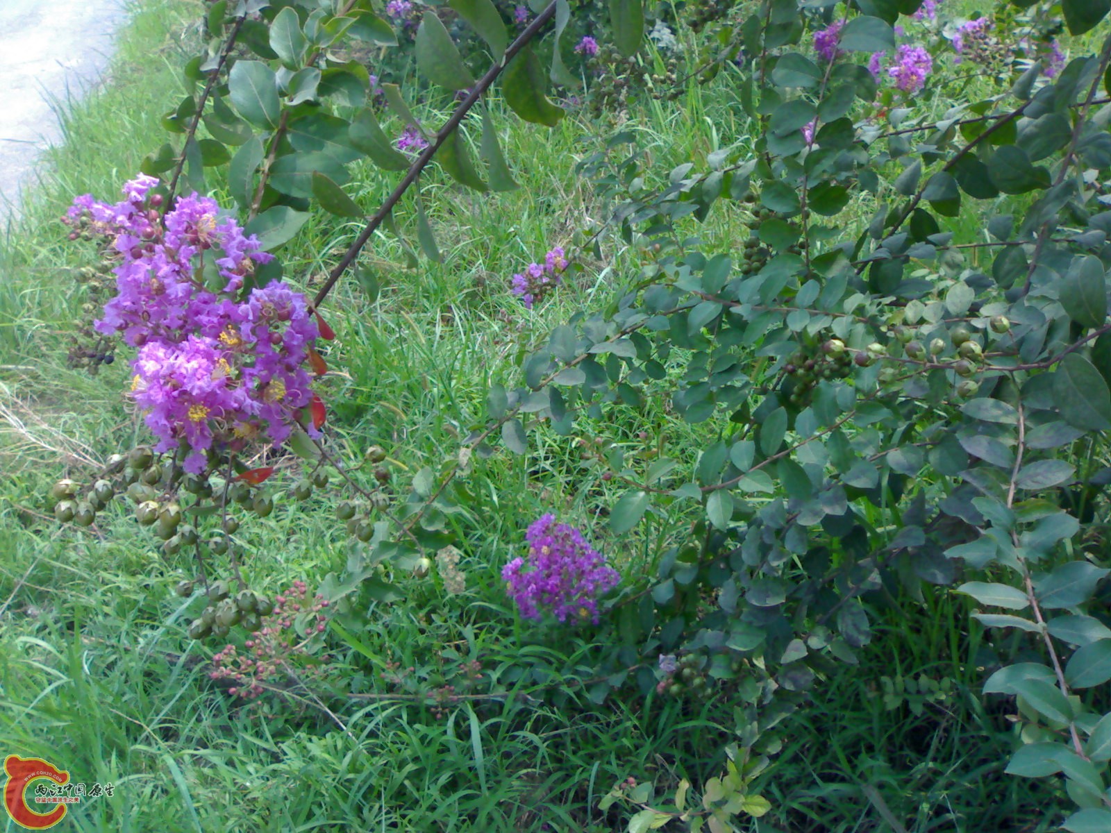 20100901584.jpg