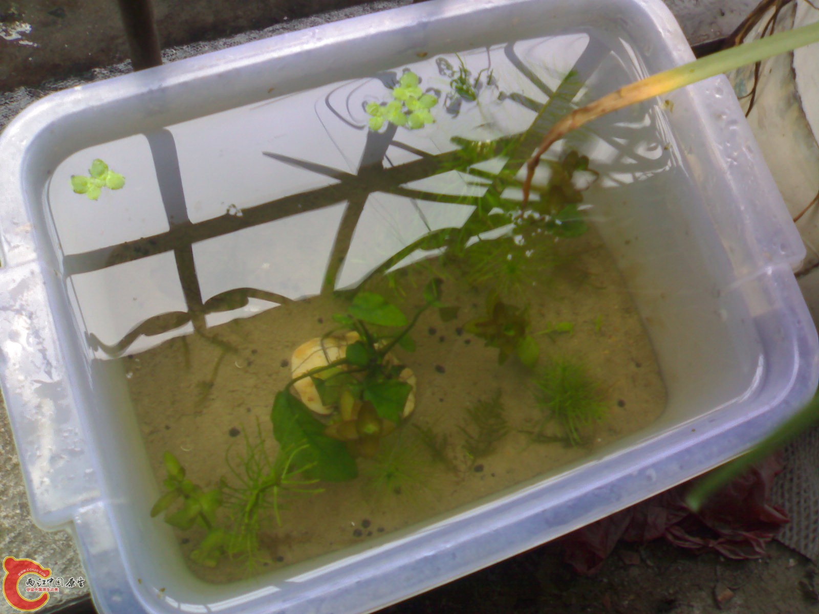 20100903602.jpg