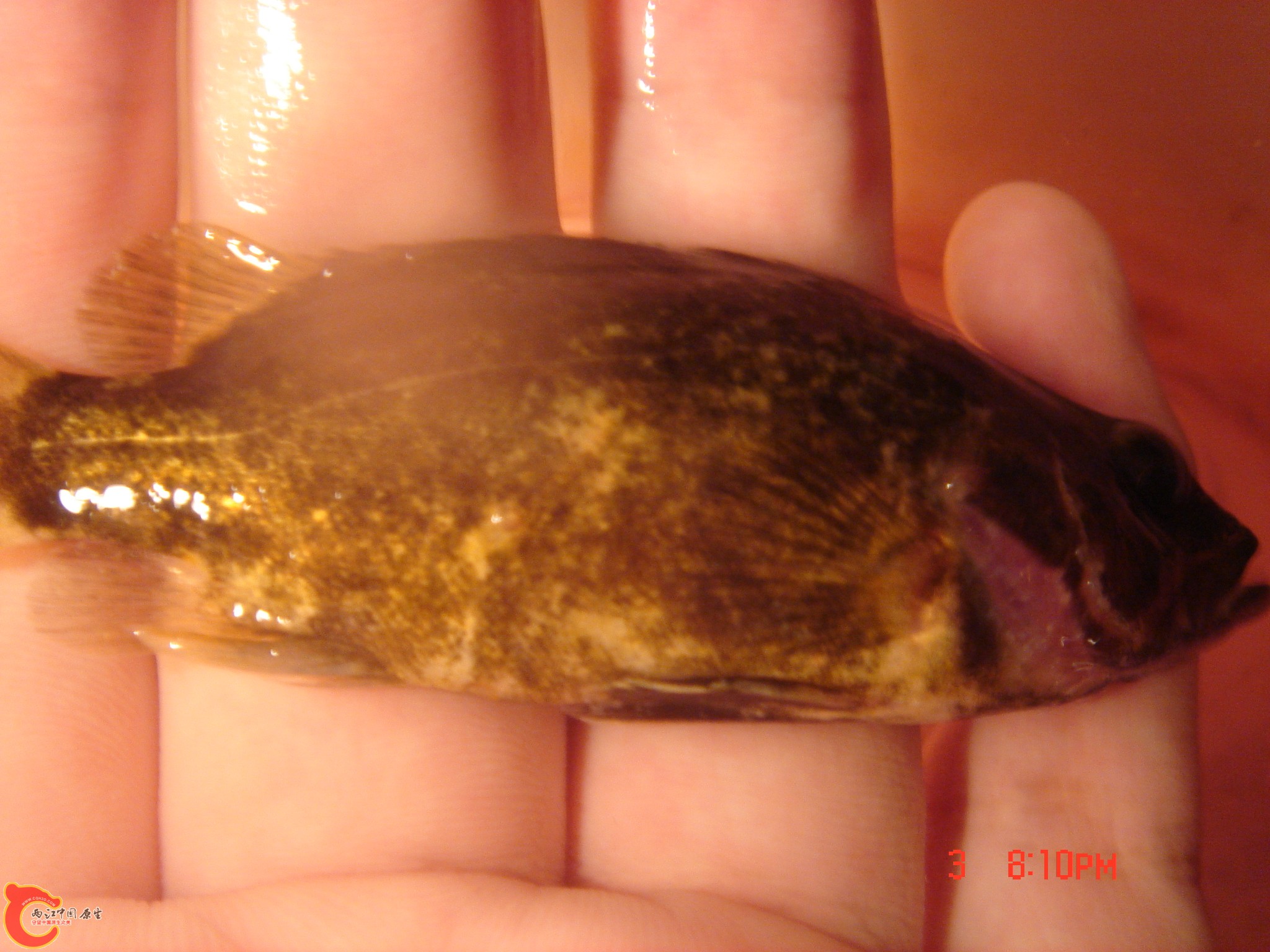 DSC06037.jpg