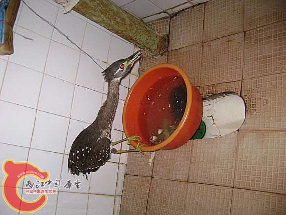 2_71710598_diary.jpg