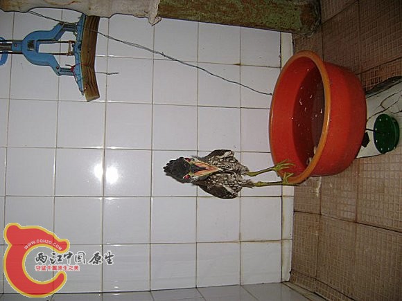 2_71710587_diary.jpg