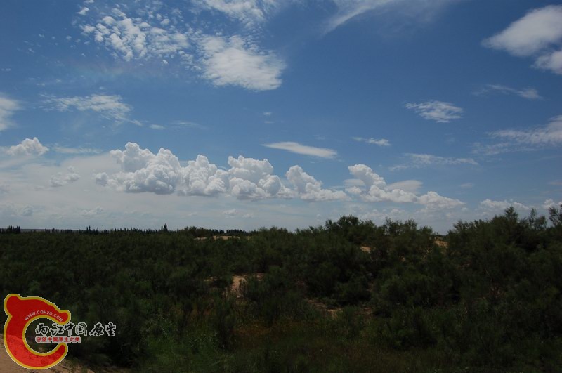 DSC_1677.JPG