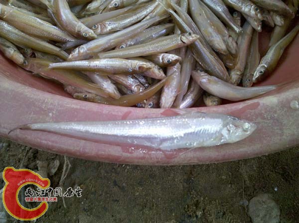 2010-09-11 16.05.56.jpg