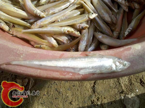 2010-09-11 16.06.17.jpg