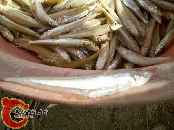 2010-09-11 16.05.46.jpg