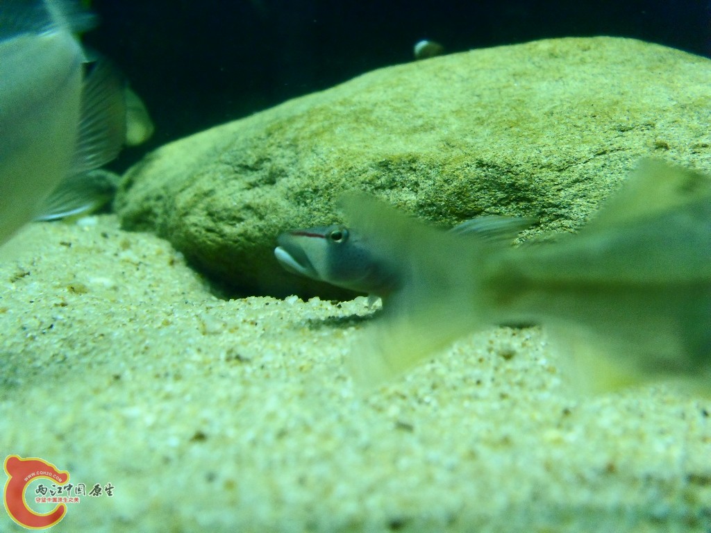 SDC14536.JPG