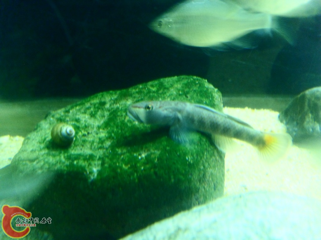 SDC14556.JPG