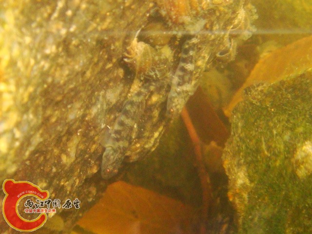 DSC07158.JPG