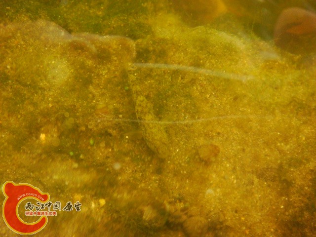 DSC07172.JPG
