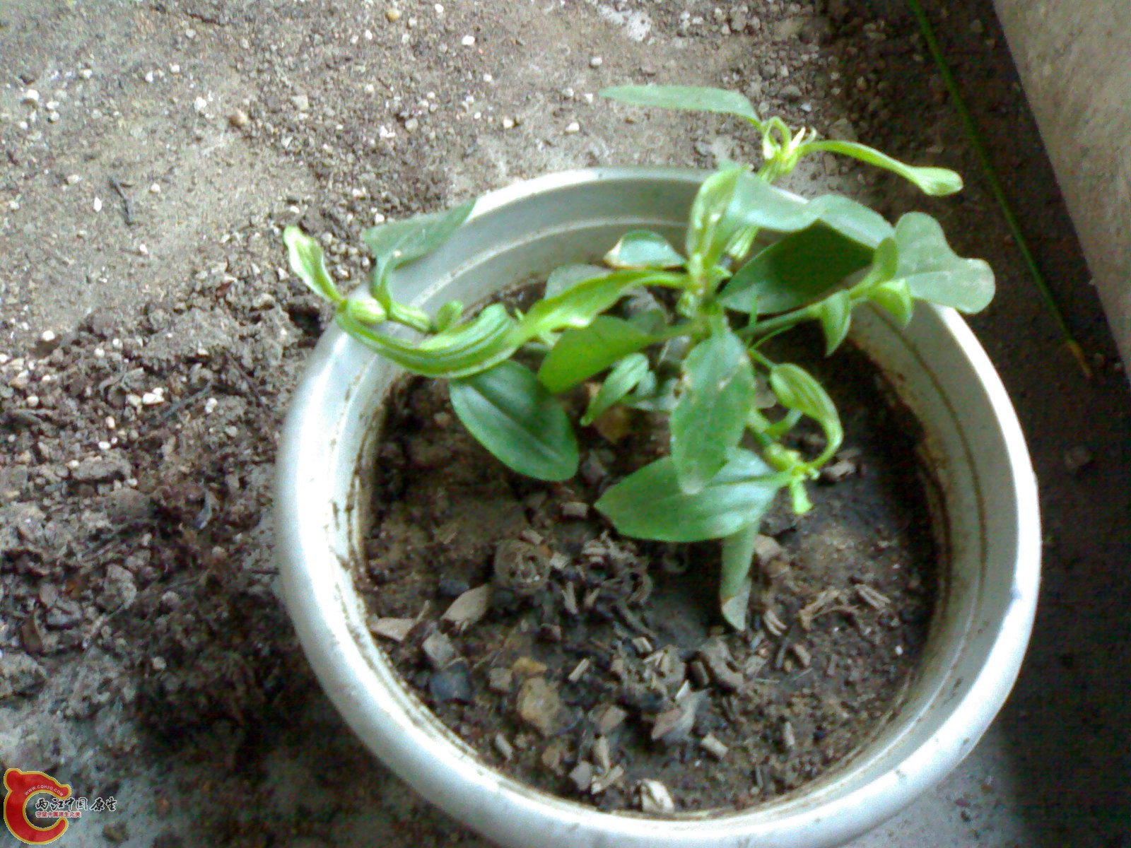 20100914711.jpg